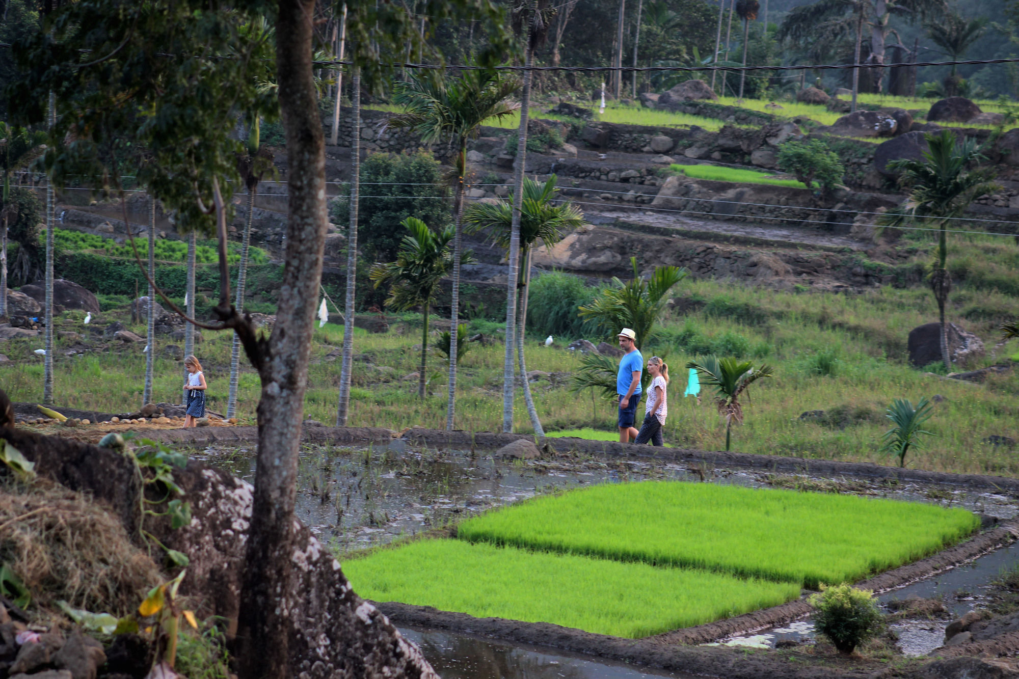 The Glenrock Wellness Nature Resort Belihuloya Buitenkant foto