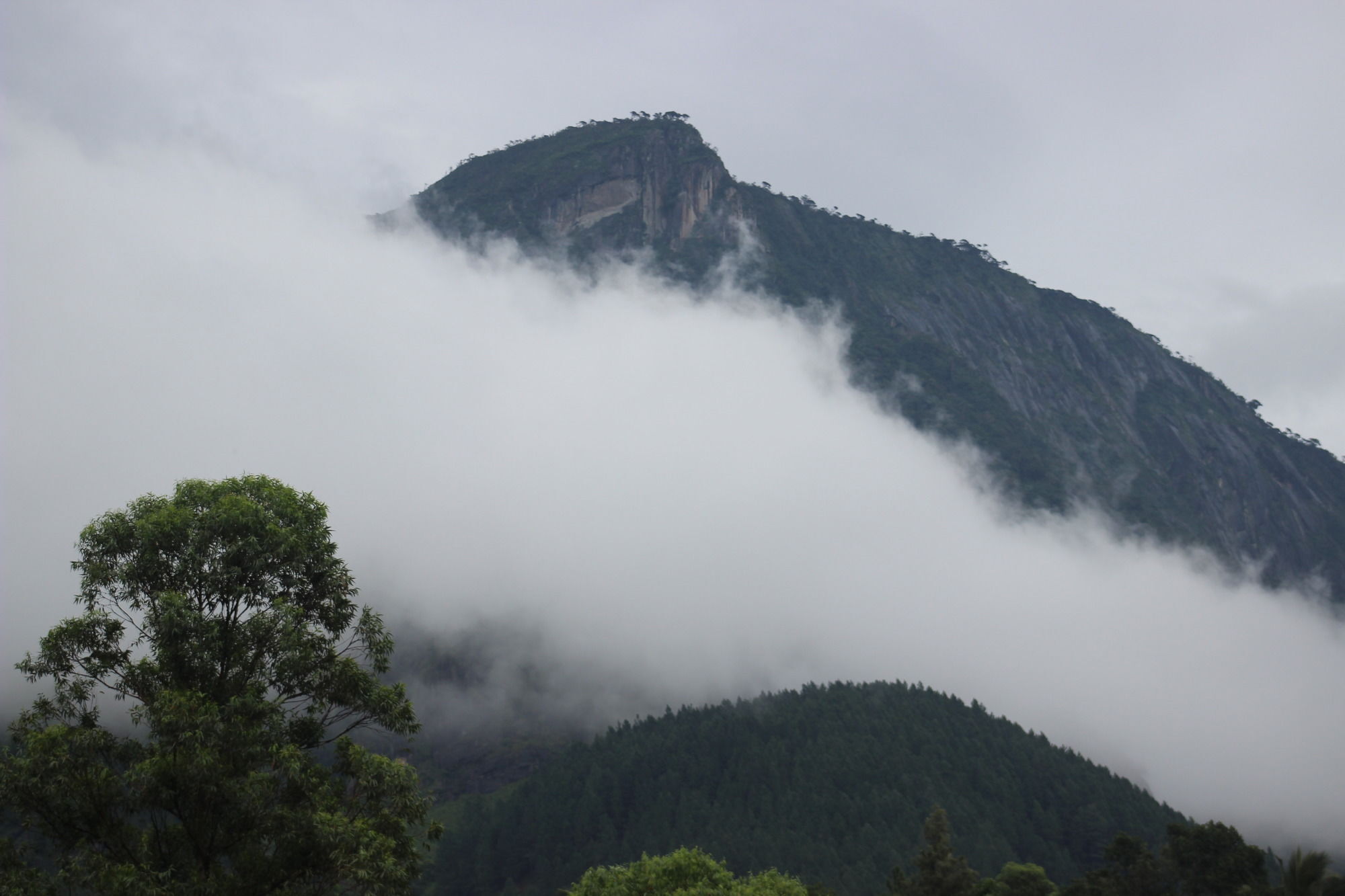 The Glenrock Wellness Nature Resort Belihuloya Buitenkant foto